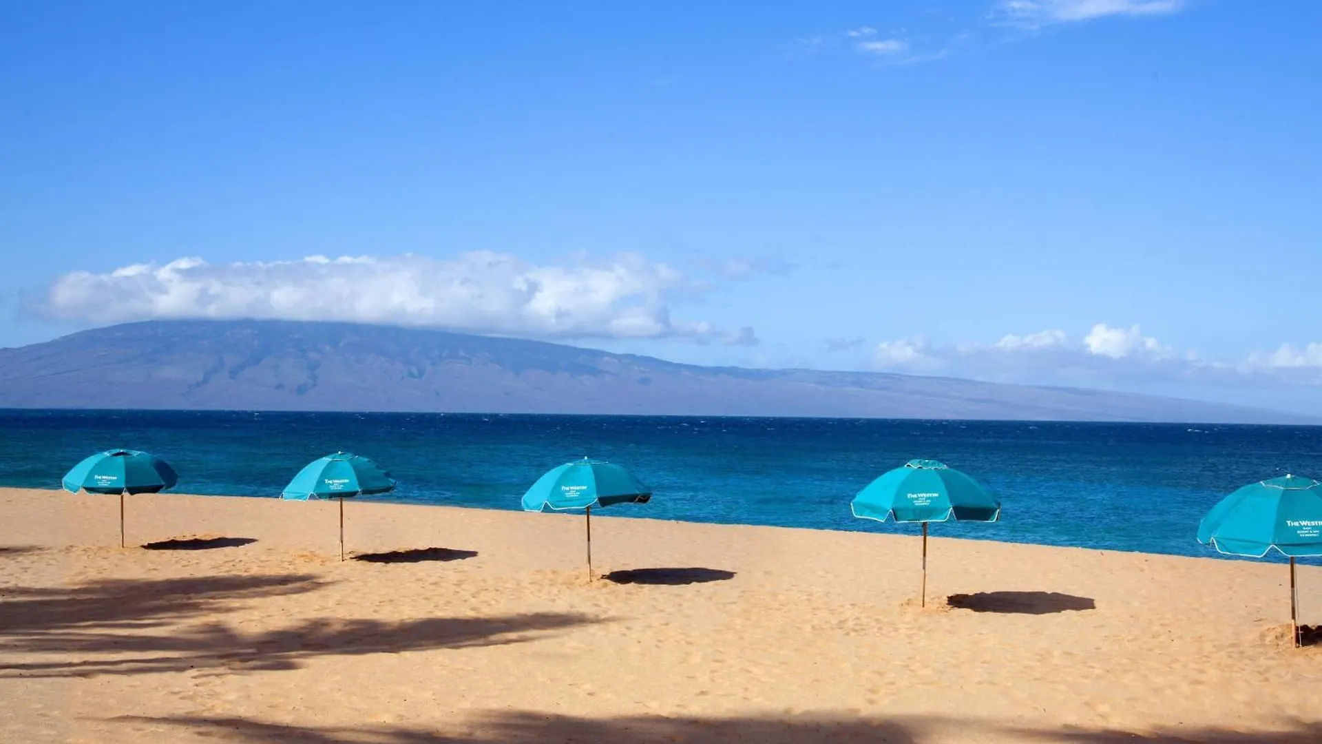 ****  The Westin Maui Resort & Spa, Ka'Anapali Lahaina United States
